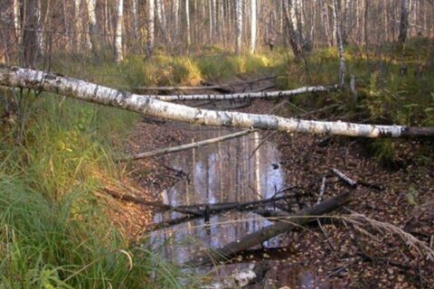 Seniems durpynams – naują gyvenimą