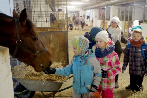 Vaikus sužavėjo edukacinė pamoka žirgyne