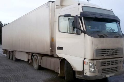 Vilkikas mirtinai sužalojo jauną vyriškį