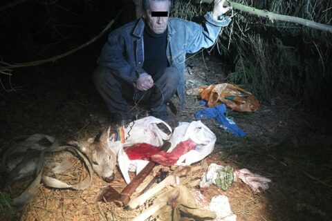 Brakonierius stirnas gaudė ir prie sodų bendrijos