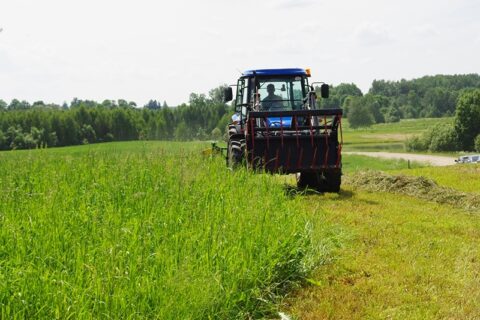 Jaunųjų ūkininkų laukia 20 mln. eurų