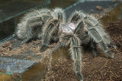 Duris atvėrė vienintelis Pabaltijyje zoologijos sodas