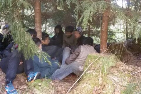 Sulaikyti į Lietuvą neteisėtai patekę indai ir vietnamiečiai