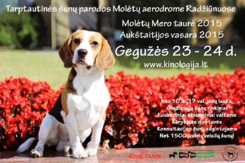 Gegužės savaitgalis su gražiausiais šunimis