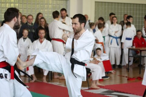 Iš Lietuvos tradicinio karate čempionato – su medaliais