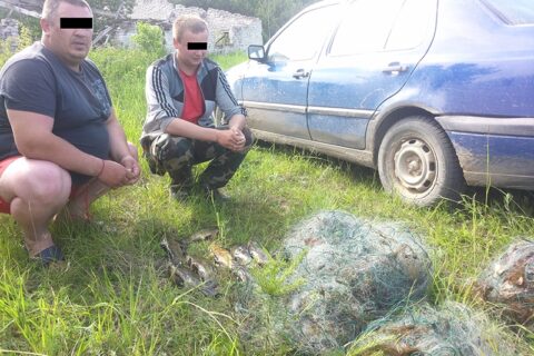 Sugauti nenuilstantys pažeidėjai