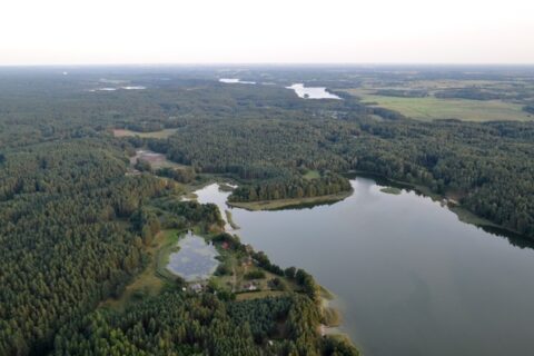 Tauragno ežeras – užterštas