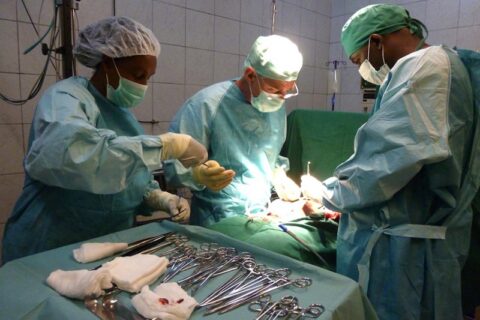 Kepenų transplantacijoms Lietuvos vaikai vyksta į užsienį