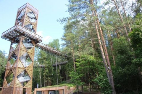 Atidaromas Anykščių perlas – Medžių lajų takas