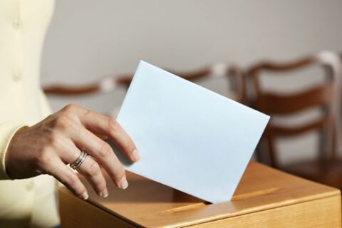 Bus rengiamas referendumas dėl dvigubos pilietybės
