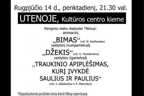 Vasaros kinas po atviru dangumi