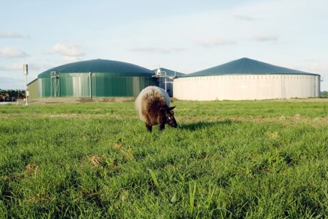 Ūkininkai ir labai mažos įmonės gali gauti paramą ūkio atliekoms perdirbti į biodujas