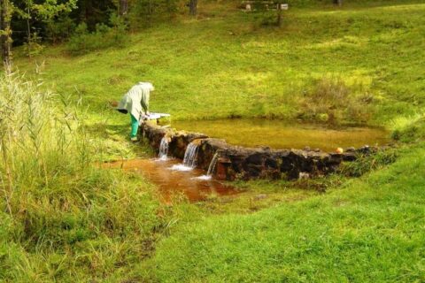 Geologinio paveldo dieną – pažintis su Nalšios žemės slėpiniais