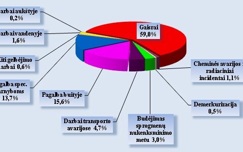 Šildymo sezonas: dėl netvarkingų krosnių pleška namai ir sodybos