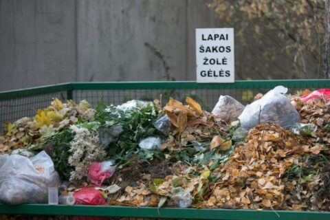 Kapines tenka vaduoti nuo gausaus Vėlinių palikimo