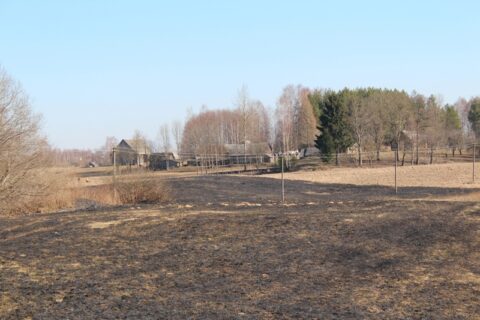 Už žolės deginimą – solidžios baudos