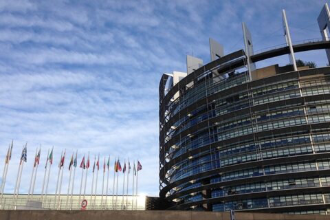 Europos Parlamentas – skaistykla Europos valstybių parlamentams