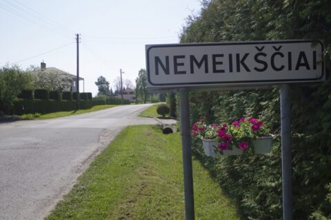 Ištuštėję Nemeikščiai skęsta pienių jūroje