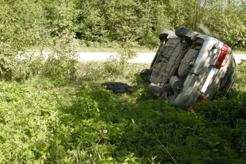 Nelaimė Utenos apskrityje: žuvo jaunas prancūzas