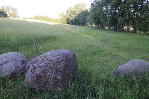 Dėl žemės kąsnio – kaimynų peštynės