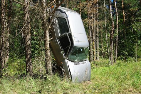 Kelių erelio poelgis pribloškė net visko mačiusius policijos pareigūnus
