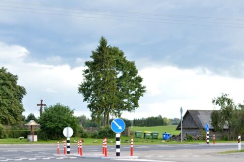 Žvilgsnis pro objektyvą – Radeikiai