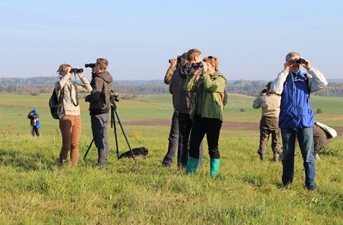 Tradicinės paukščių palydos – pirmąjį spalio savaitgalį
