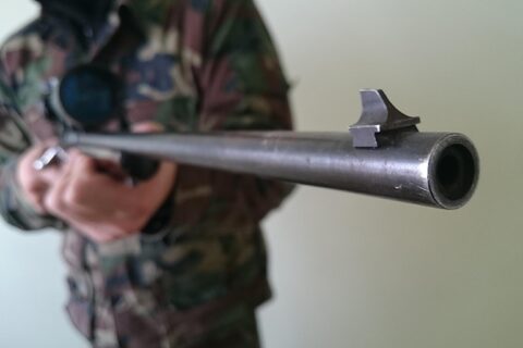 Sumedžioto tauriojo elnio jauniklio skerdieną parsivežė į sodybą