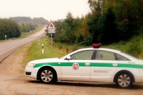 Kelių policija įspėja: prasidėjo laukinių gyvūnų žiemos migracija