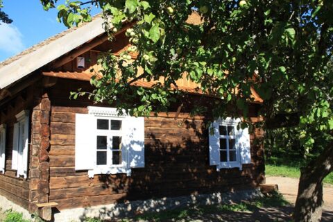 Salose etnoarchitektūrinio kaimo atidarymas