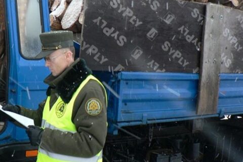 Dvi savaites šalies miškai buvo tarsi po padidinamuoju stiklu