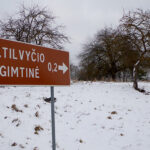 IMGP6410