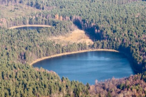 Aplinkos ministerija imasi reformuoti valstybinių miškų ūkio valdymą