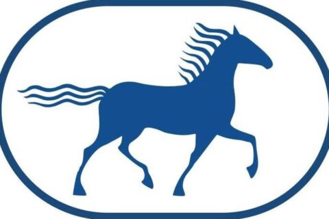 Tiesiausias kelias – ne visada greičiausias