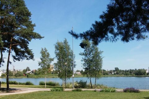 Skelbiamas Dauniškio parko įrengimo papildymo projektų konkursas