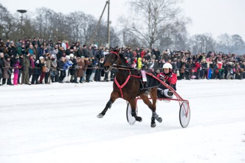Sartų lenktynes vainikavo uteniškio rekordas