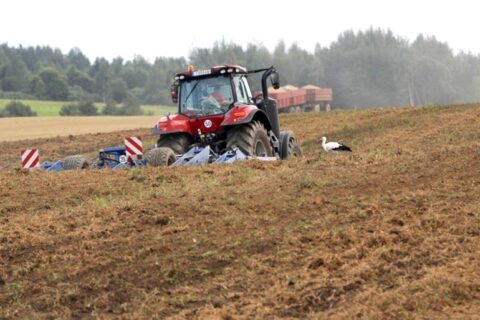 Vyriausybė nepritarė naujai mokesčių lengvatai