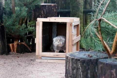 Zoologijos sode – naujas ir itin retas gyvūnas