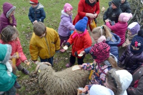 Šviečiamoji gyvulininkystės programa: paraiškų rinkimas artėja į pabaigą