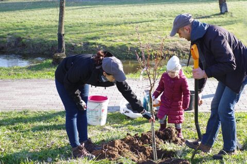 Gamtą mylintys uteniškiai gražino Vyžuonos parką