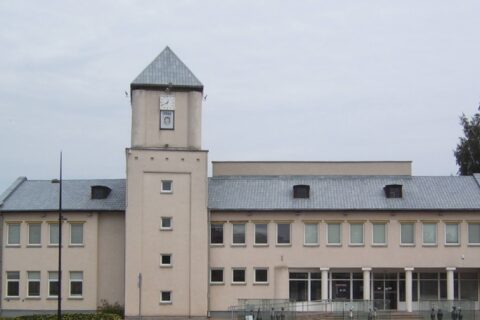Gyventojų apklausos rezultatai dėl miesto laikrodžio