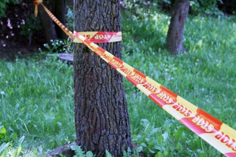 Miškelyje rastas moters kūnas: įtariamoji – jos sesuo