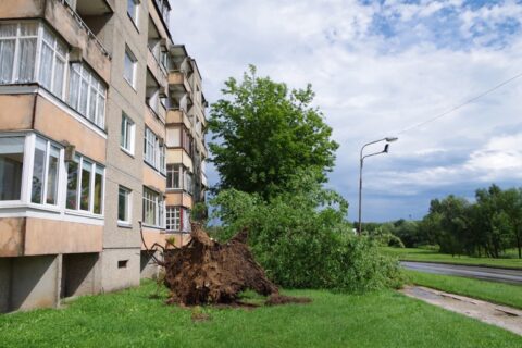 Uteną talžė stichija