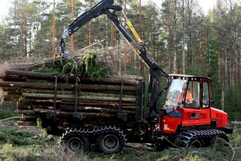 Rūpestis mišku – investicija į ateities kartas