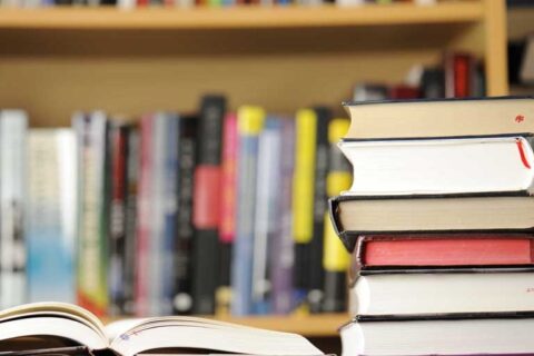 Bibliotekos vadovė V. Garunkštytė pasidalijo gerąja patirtimi