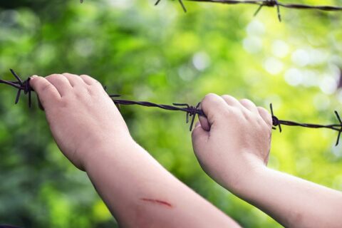 Šiemet Lietuvoje nustatyti jau trys stabligės atvejai