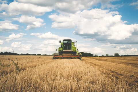 Daugiau patikrų – rizikingų pareiškėjų ūkiuose