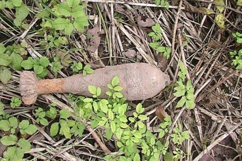 Utenos rajone rasti sprogmenys