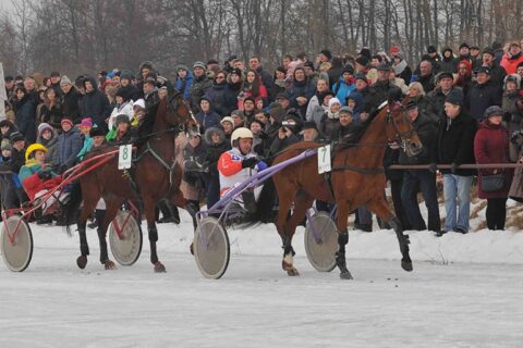 Vasario 3-ią Dusetose – ne vien žirginio sporto entuziastų šventė