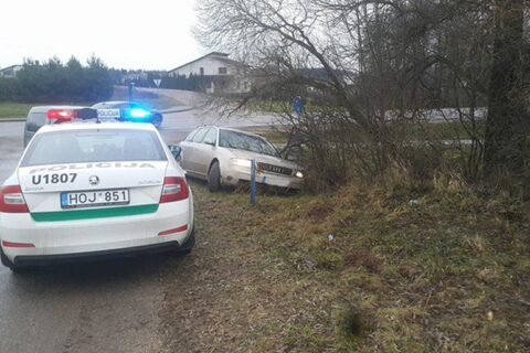 „Kobra 11“ primenančios gaudynės: vogta „Audi“ kelionę baigė griovyje